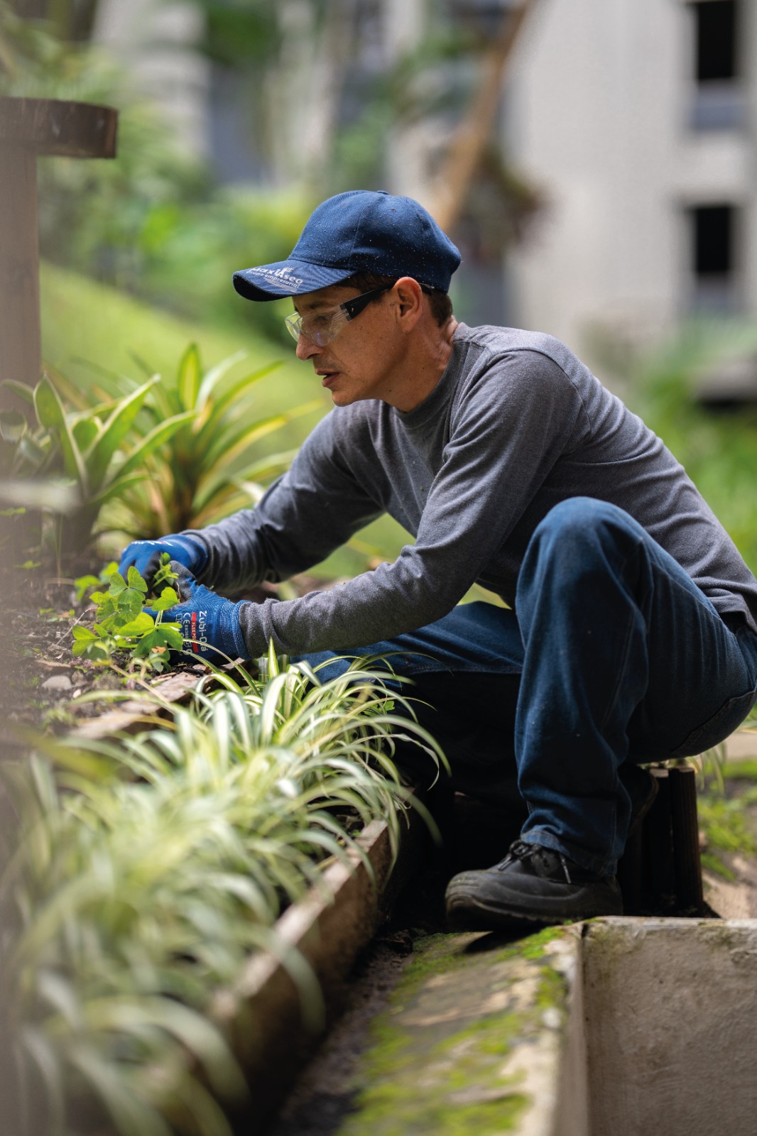 Jardinería profesional